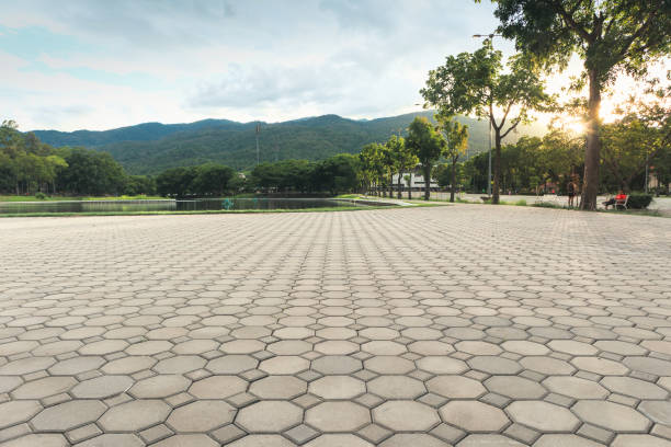 Best Concrete Paver Driveway  in Wheaton, IL